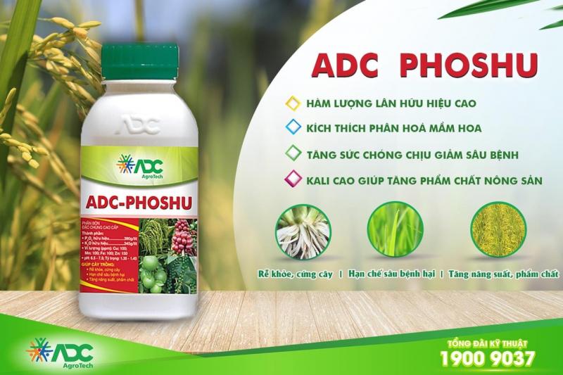 Sản phẩm của ADC Group