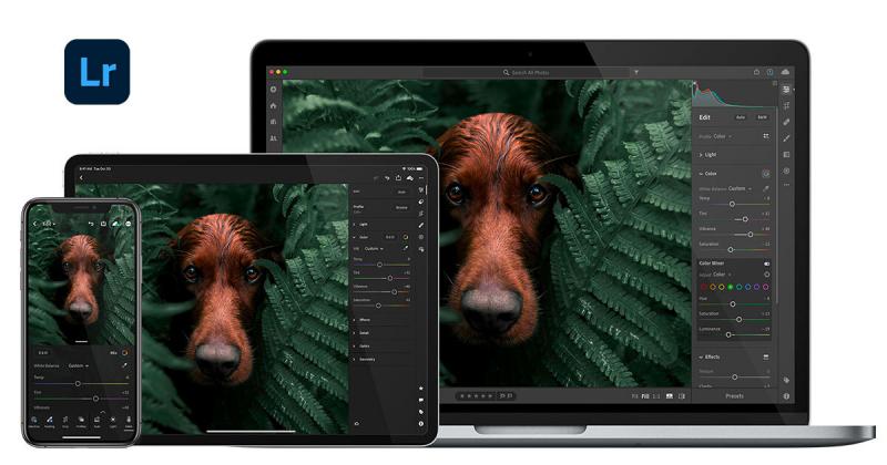Adobe Lightroom: Photo Editor