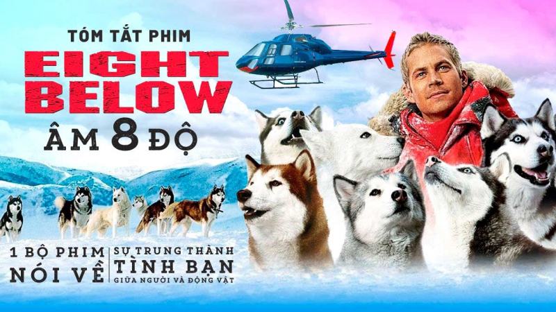 Âm 8 độ – Eight Below (2006)