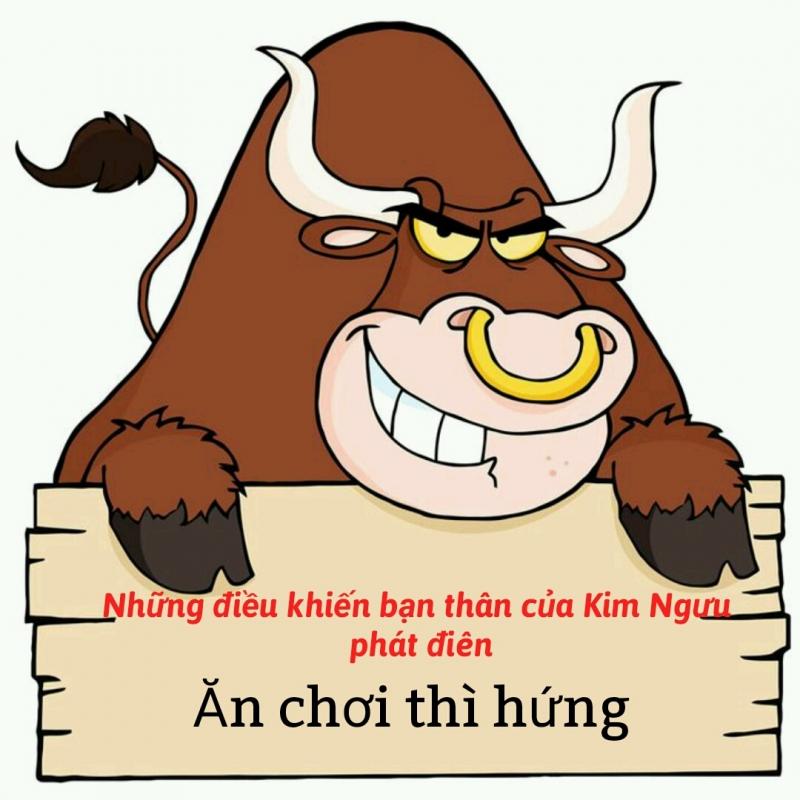 Kim Ngưu ăn chơi tùy hứng