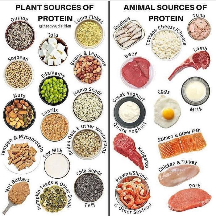 Nguồn Protein