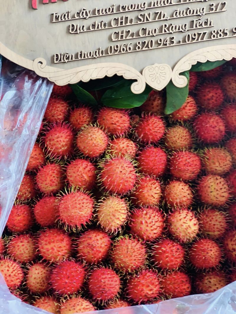 An Dương Farm