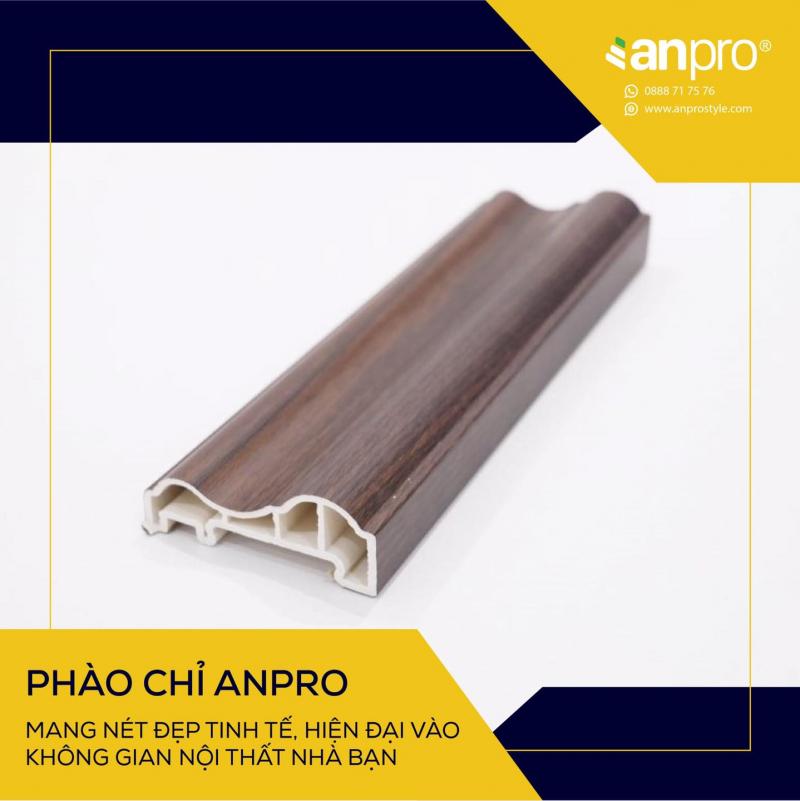 AnPro