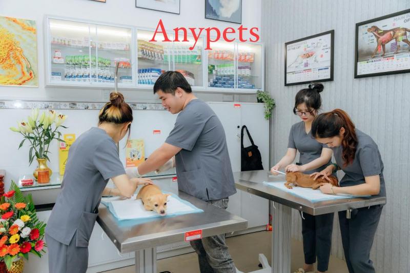 Anypets