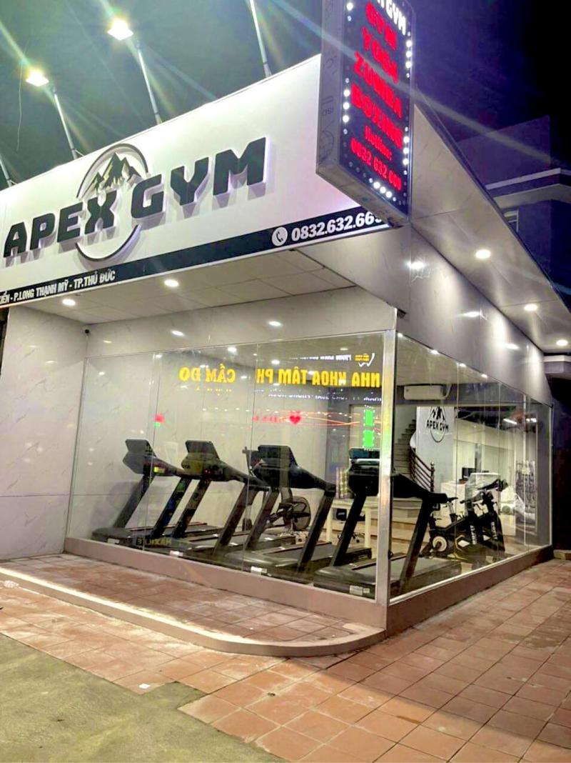 APEX GYM