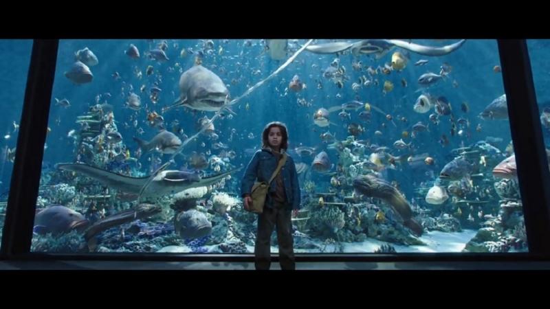 Aquaman có khả năng giao tiếp, sai khiến mọi sinh vật biển