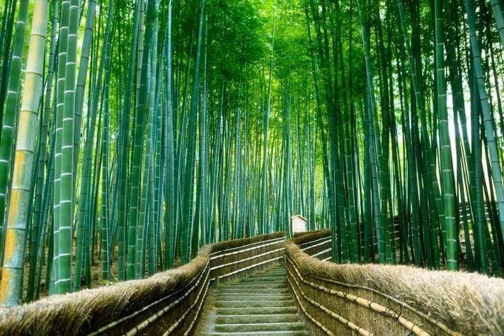 Arashiyama (Nhật Bản)