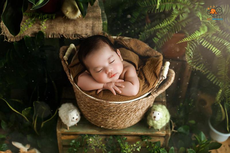 BABY XINH STUDIO