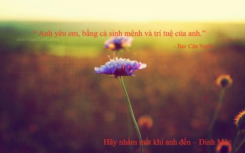 Bạc Cận Ngôn - Hãy nhắm mắt khi anh đến, Đinh Mặc