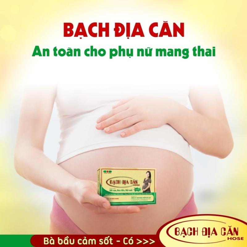 Bạch Địa Căn Hose