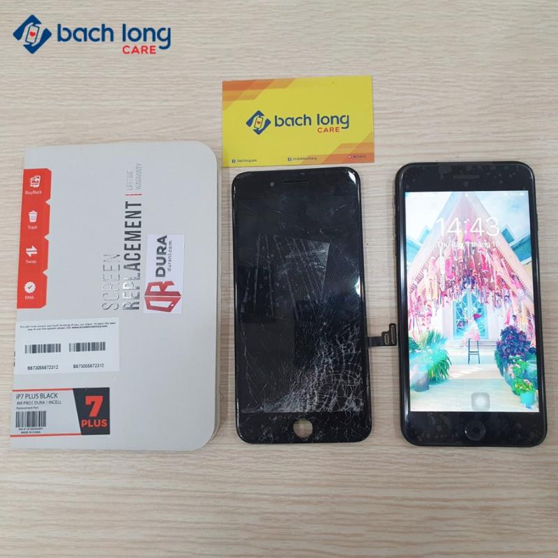 Bạch Long Care