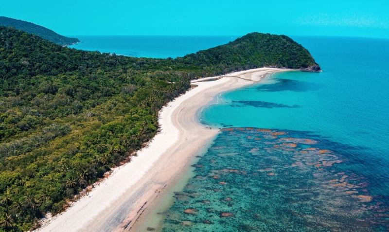 Bãi biển Queensland, Australia nhiều cá mập.