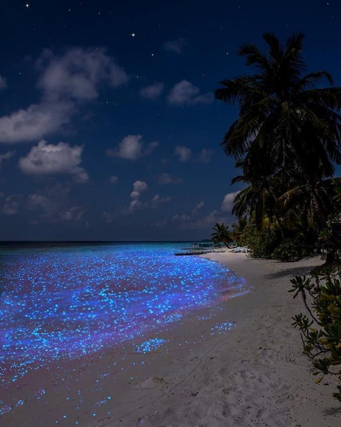 Bãi biển sao trên đảo Vaadhoo, Mandives