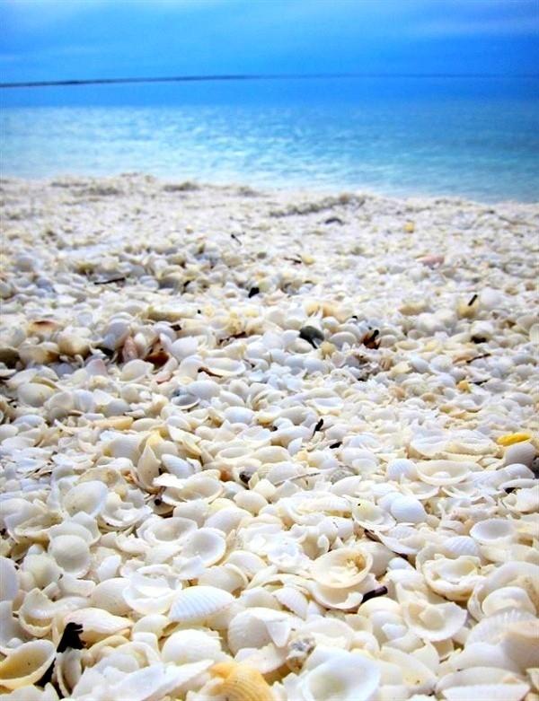 Bãi biển vỏ sò, vịnh Cá Mập (Shark Bay), Australia