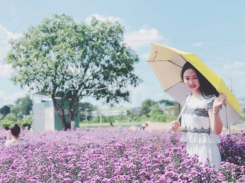 Top 12 địa điểm chụp ảnh Tết đẹp nhất tại Hà Nội