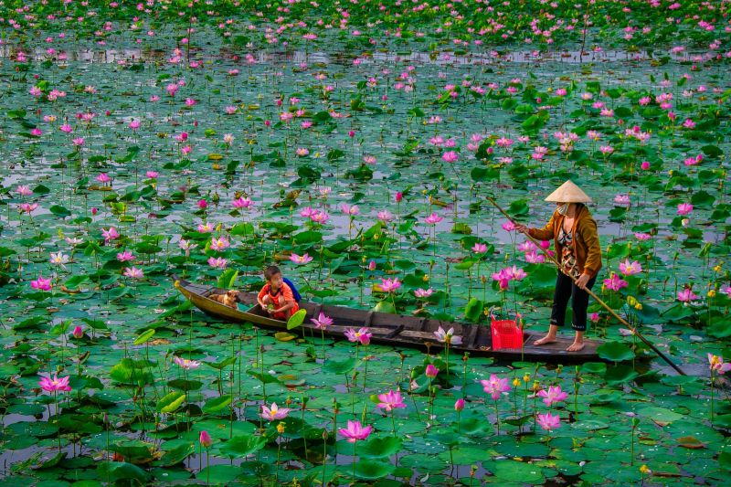 Về Thăm Đồng Tháp