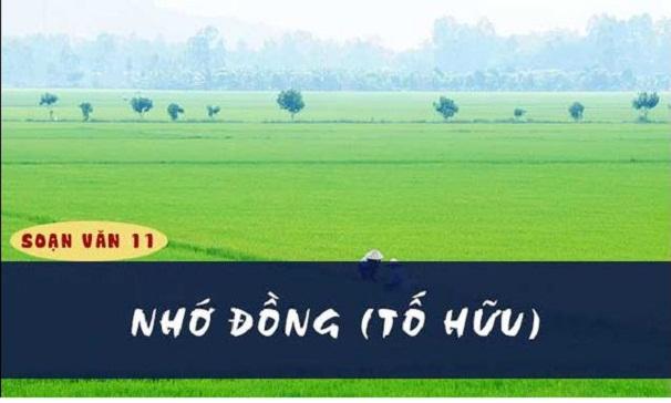 Ảnh minh họa (Nguồn internet)