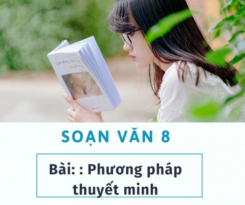 Ảnh minh họa (Nguồn internet)