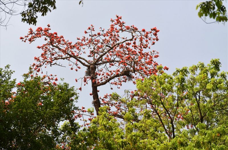 Bài soạn số 1