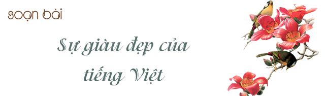 Top 6 Bài soạn "Sự giàu đẹp của tiếng Việt" của Đặng Thai Mai lớp 7 hay nhất