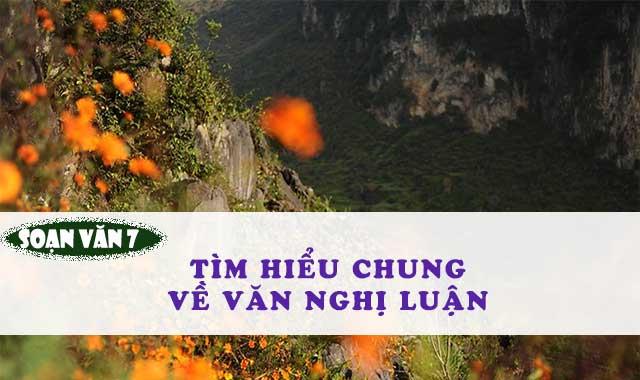 Ảnh minh họa (Nguồn internet)