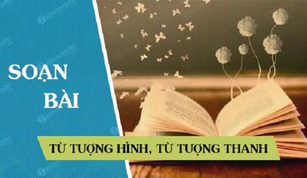 Top 5 Bài soạn "Từ tượng hình, từ tượng thanh" hay nhất - Wikitim.com