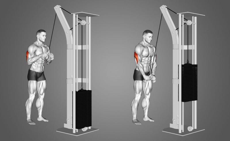 Bài tập Triceps pressdown