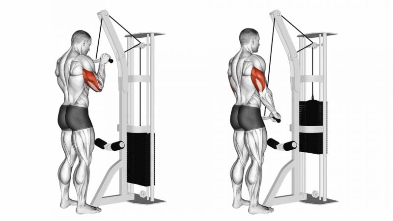 Bài tập Triceps pressdown