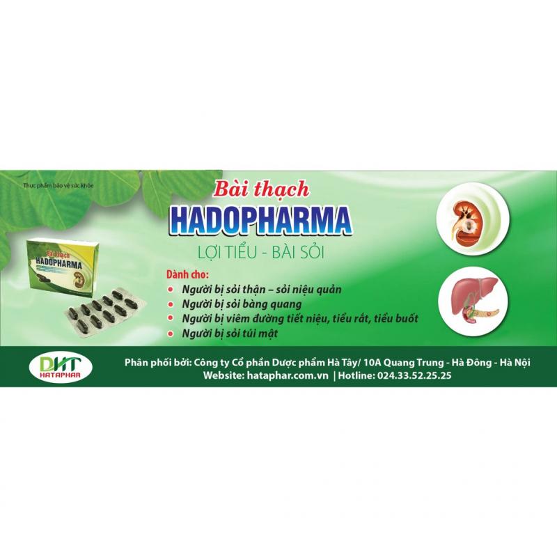 Bài thạch Hadopharma - Hỗ trợ tán sỏi thận, sỏi mật