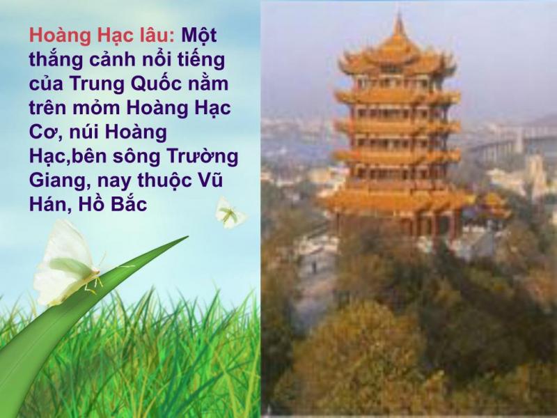 Hình minh hoạ