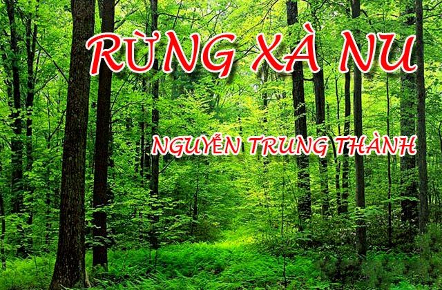 Bài tóm tắt tác phẩm Rừng xà nu số 10