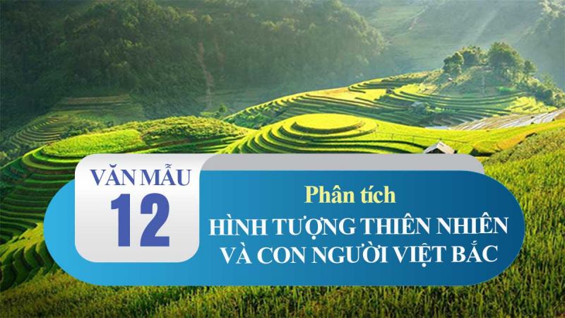 Bài tham khảo số 10