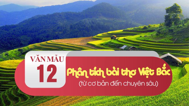 Bài tham khảo số 10