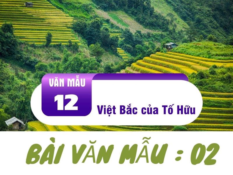 Bài tham khảo số 2