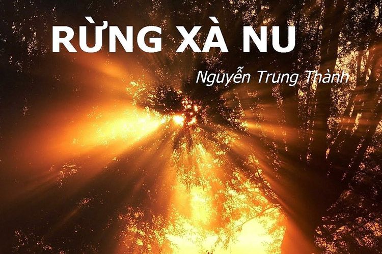 Bài tóm tắt tác phẩm Rừng xà nu số 3