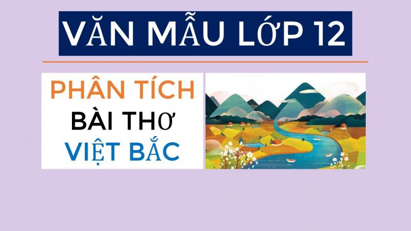 Bài tham khảo số 5