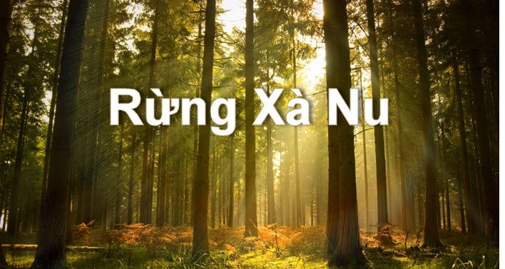 Bài tóm tắt tác phẩm Rừng xà nu số 9