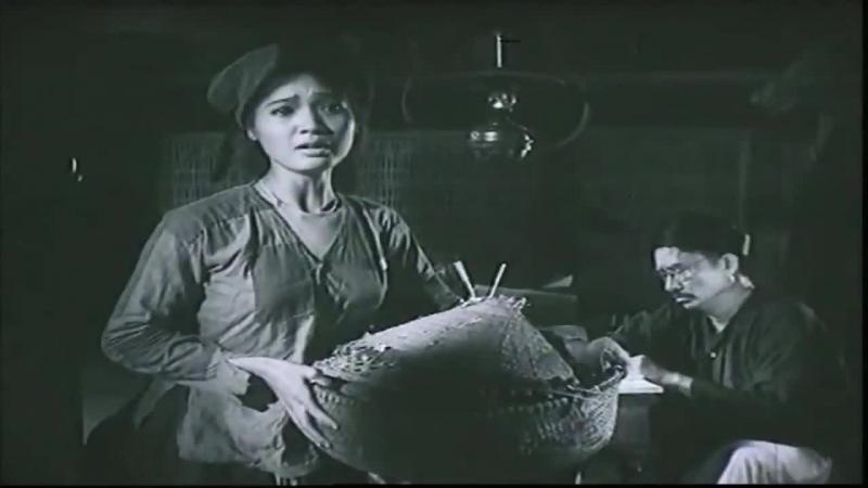 Hình minh hoạ