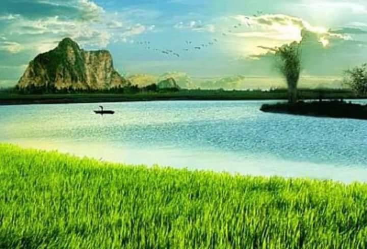 Top 10 Bài thơ hay về làng quê Việt Nam - Toplist.vn