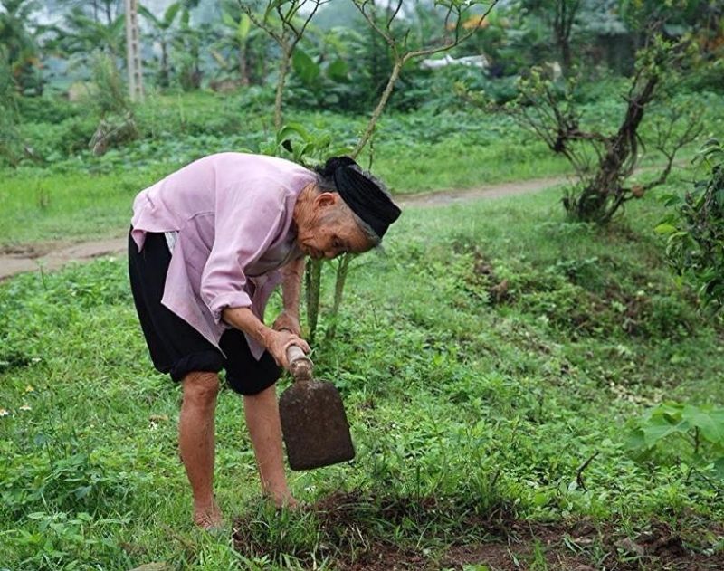 Ảnh minh họa nhiếp ảnh gia Hung Hoang