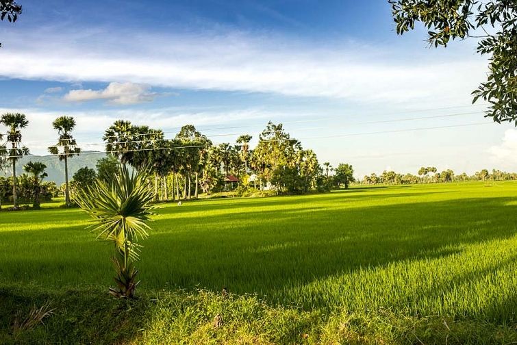 Bài thơ hay về làng quê Việt Nam