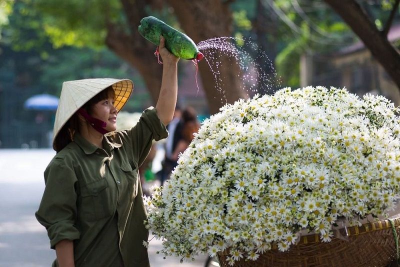 Ảnh minh họa NAG Nguyễn Pháp