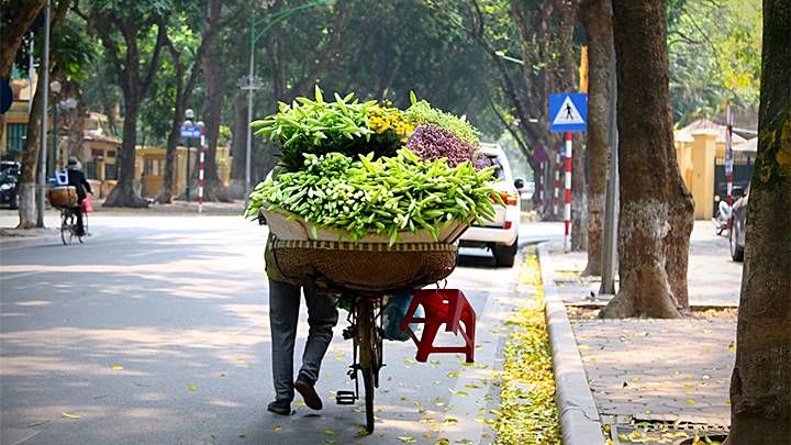 Ảnh minh họa (nguồn internet)