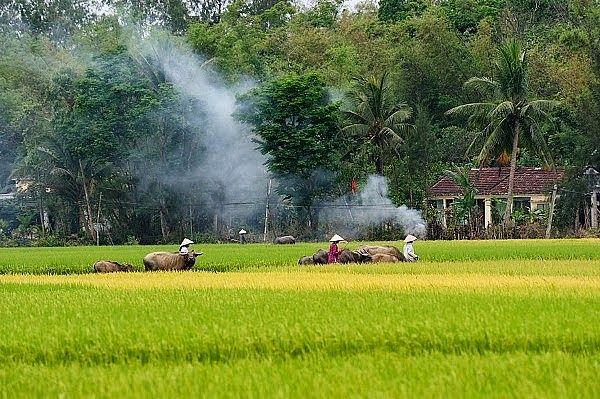 Bài thơ hay về làng quê Việt Nam