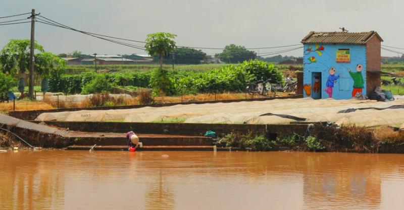 Ảnh minh họa (nguồn internet)