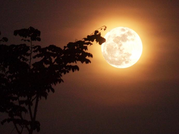 Bài thơ hay về trăng: Tôi Vẫn Chờ