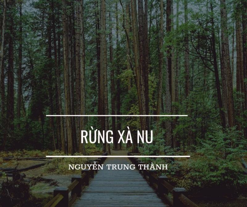 Bài tóm tắt: Rừng xà nu