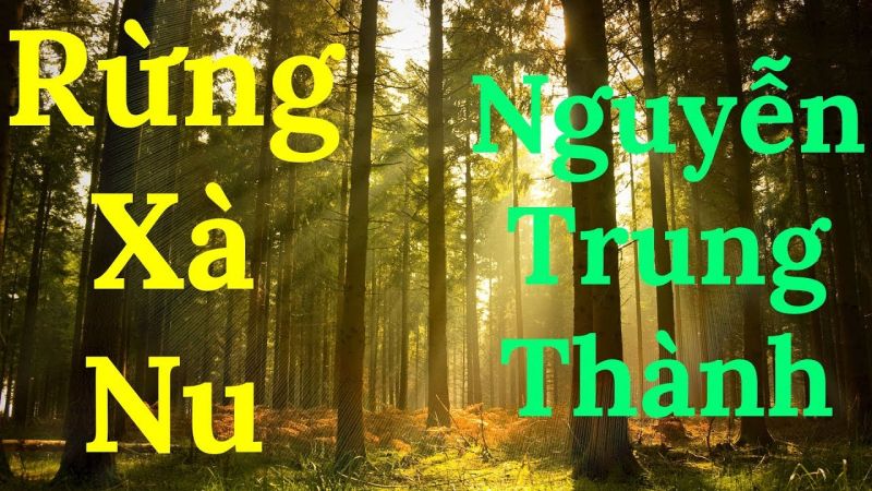 Top 9 Bài văn phân tích tính sử thi trong Rừng xà nu của Nguyễn Trung Thành (Ngữ văn 12) hay nhất