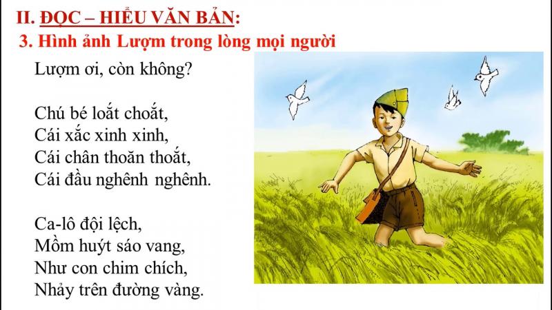 Ảnh minh họa (Nguồn internet)