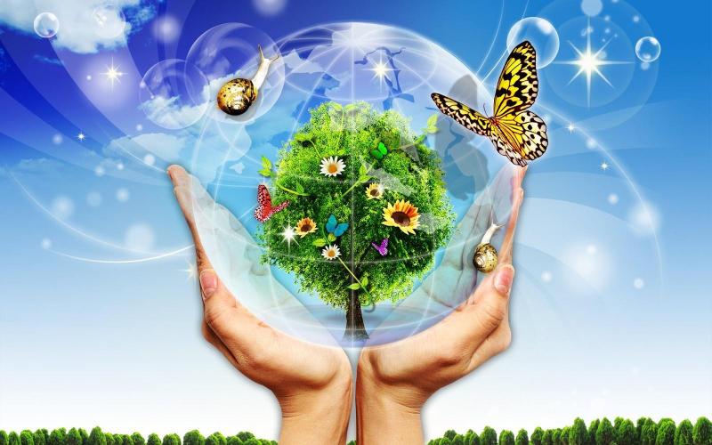 Top 7 Bài văn chứng minh bảo vệ môi trường là bảo vệ cuộc sống của chúng ta  (lớp 7) hay nhất - Toplist.vn